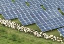 Las energías renovables ganan terreno, pero deben acelerar el paso