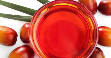 Grupo San Simón impulsa la palmicultura y su valor nutricional