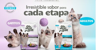 El irresistible sabor de Oh Mai Gat acompaña a tu gato en cada etapa