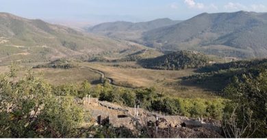 Cómo los conflictos armados llevan la biodiversidad al borde del colapso