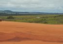 Un ecosistema único: los arenales de Brasil están conectados a las lluvias de la Amazonia