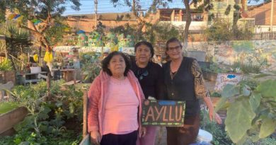 Mujeres “reverdecen” el desierto al convertir basurales y arenales en huertos comunitarios